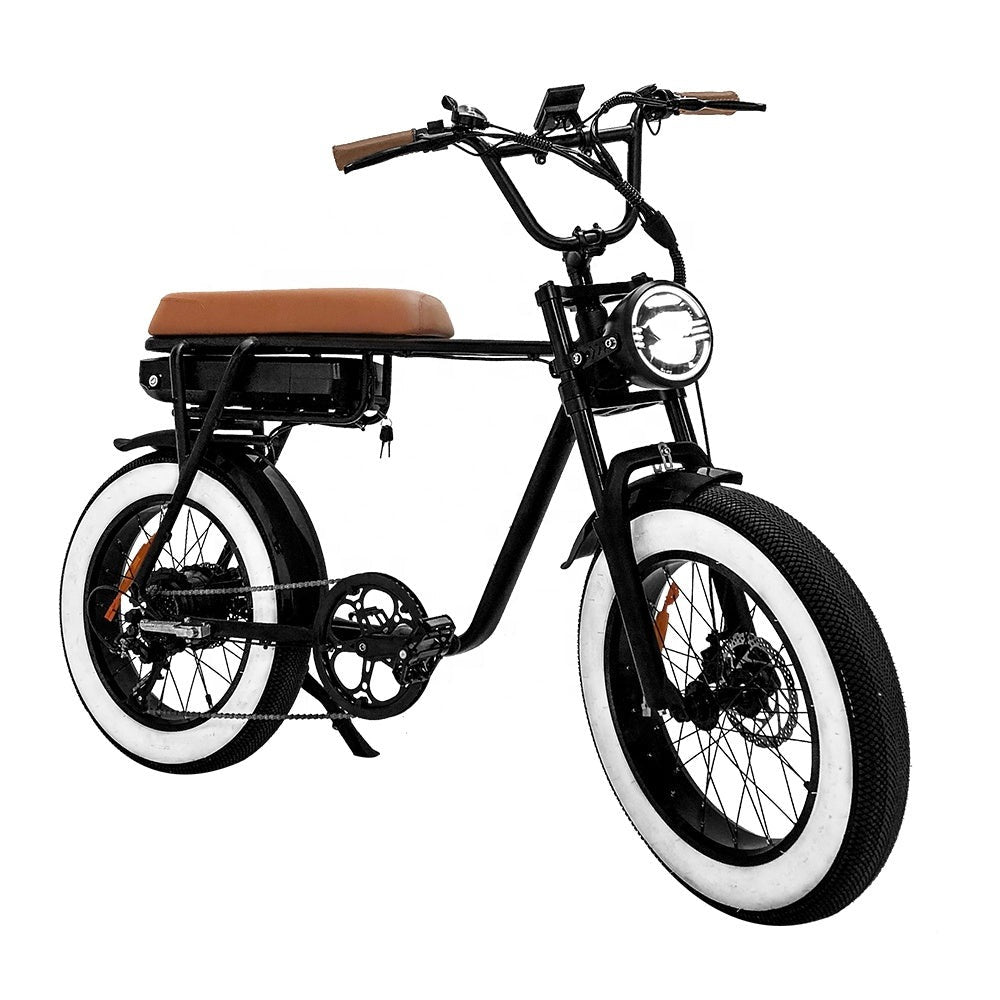 Electric Bike 20'' 26'' Fatbike Elektrisches Fahrrad Experienced City Electric Bicycle