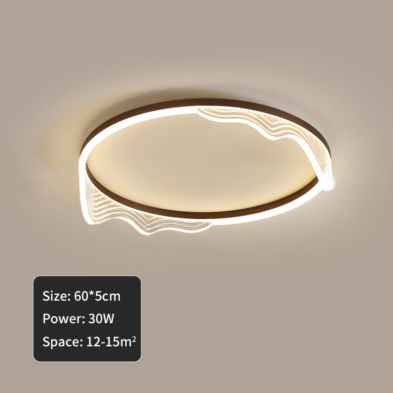 Ceiling Lights Led Golden Lustre Simplicity Acrylic Ceiling Lights