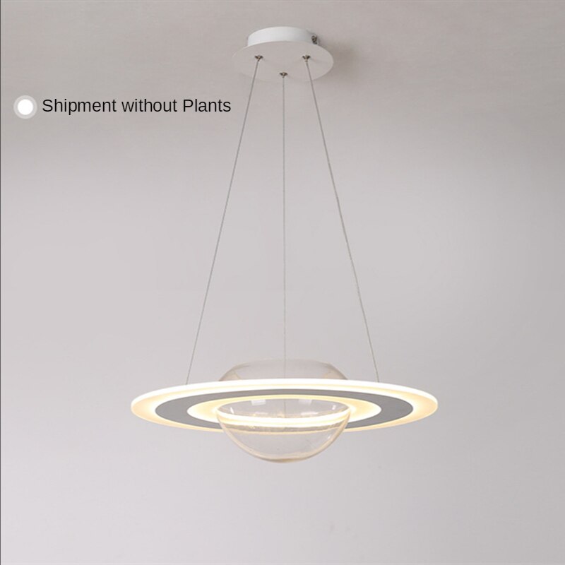 Pendant Light Plant Led Modern Nordic Fixture Hanging Planet Pendant Lights